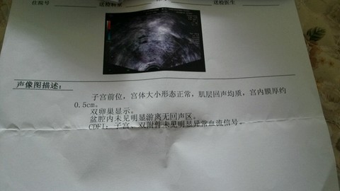 journal_insert_pic_292294057