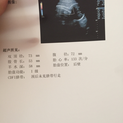 journal_insert_pic_294654085
