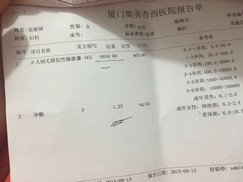 journal_insert_pic_294968198