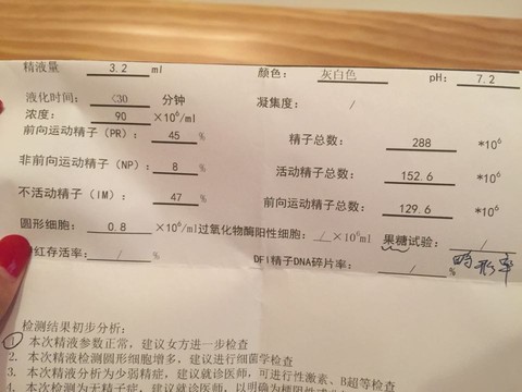 journal_insert_pic_296052035