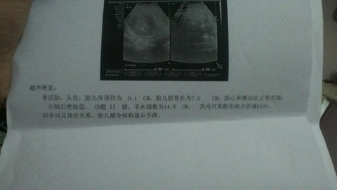 journal_insert_pic_297370730