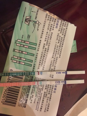 journal_insert_pic_297605818
