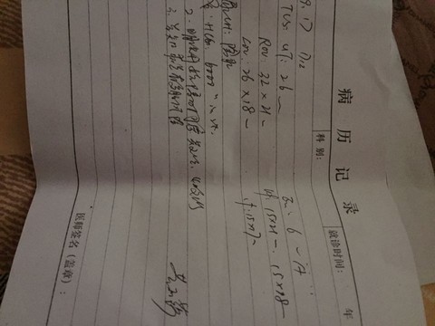 journal_insert_pic_298127426