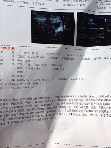 journal_insert_pic_297862376