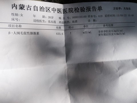 journal_insert_pic_301676817