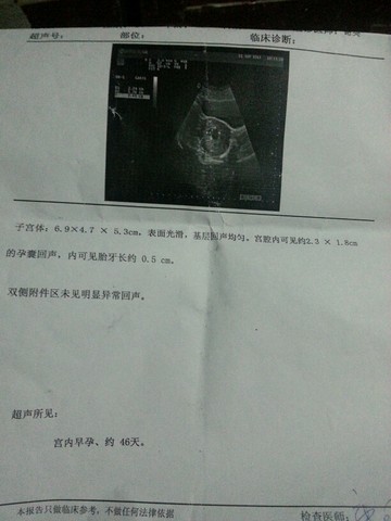 journal_insert_pic_301945964
