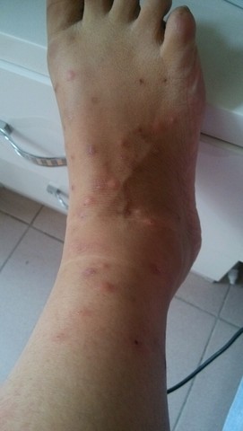 journal_insert_pic_302538630