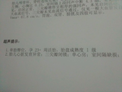 journal_insert_pic_302859999