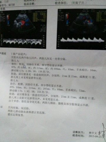 journal_insert_pic_302705703