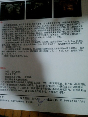 journal_insert_pic_302787002
