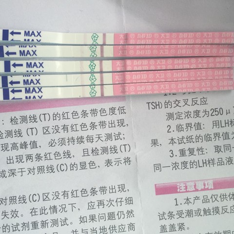 journal_insert_pic_306533178