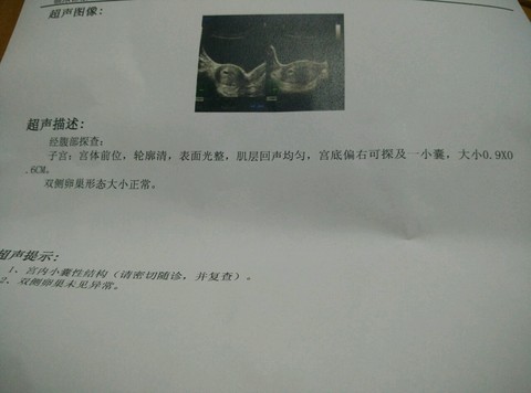 journal_insert_pic_307511690