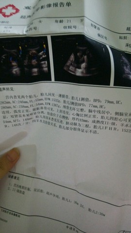 journal_insert_pic_307444384