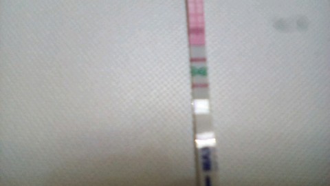 journal_insert_pic_308031239