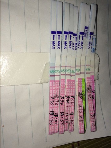 journal_insert_pic_307803504