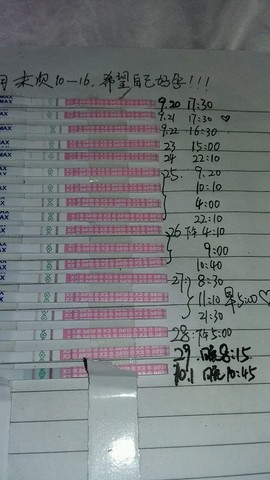 journal_insert_pic_308190579