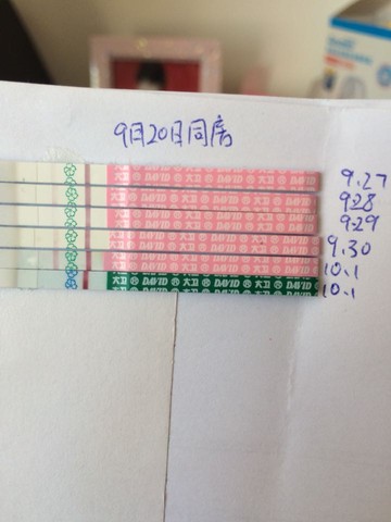 journal_insert_pic_307901736