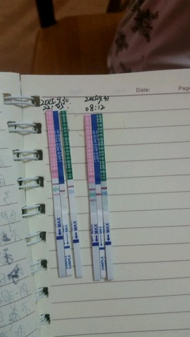 journal_insert_pic_307755756