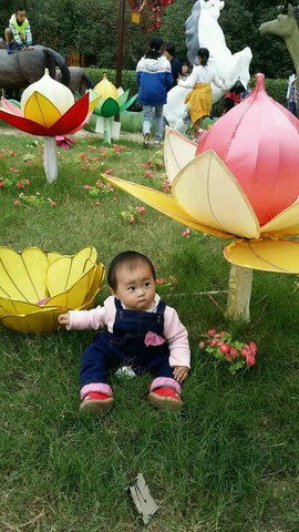 journal_insert_pic_308754778
