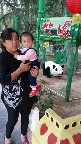 journal_insert_pic_308754515