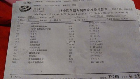 journal_insert_pic_308595560