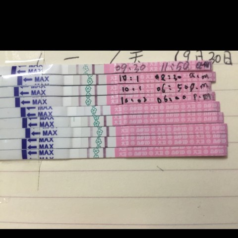 journal_insert_pic_309387968