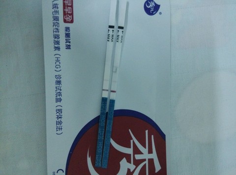 journal_insert_pic_308847526