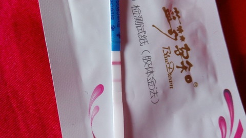 journal_insert_pic_308880282