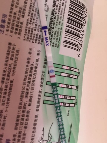 journal_insert_pic_309089636