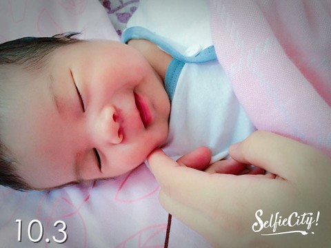journal_insert_pic_309617620