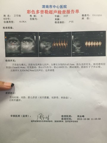 journal_insert_pic_311169110