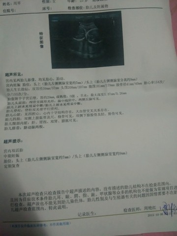 journal_insert_pic_311466394