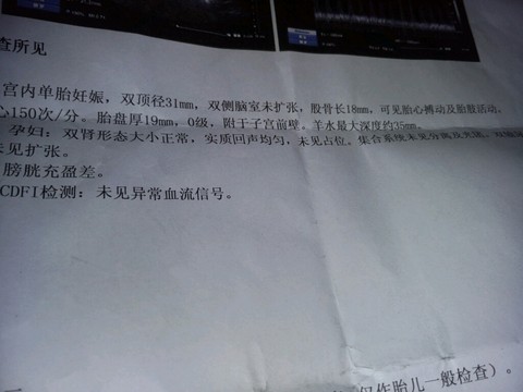 journal_insert_pic_311006071