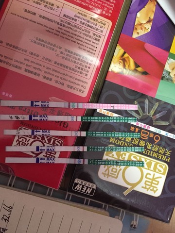 journal_insert_pic_311557358