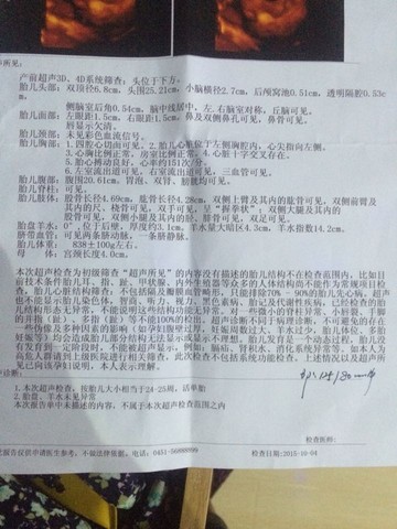 journal_insert_pic_312017281