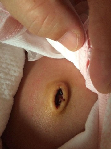 journal_insert_pic_311597156