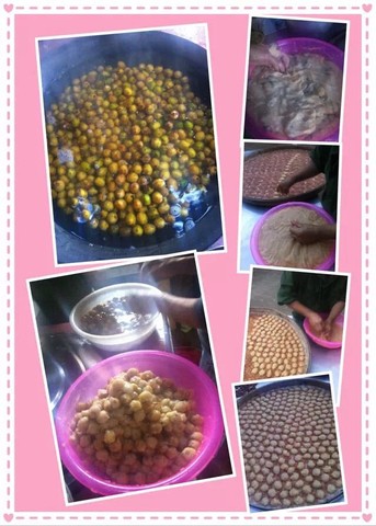 journal_insert_pic_313036312