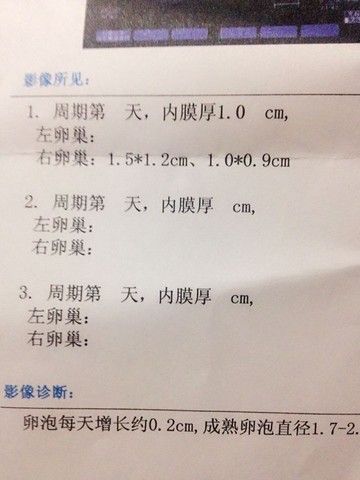 journal_insert_pic_314228223