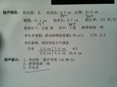 journal_insert_pic_314171777