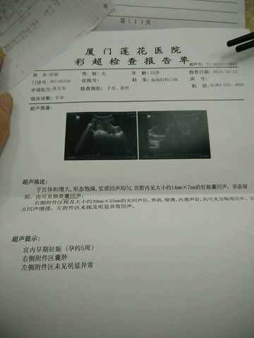 journal_insert_pic_316291501