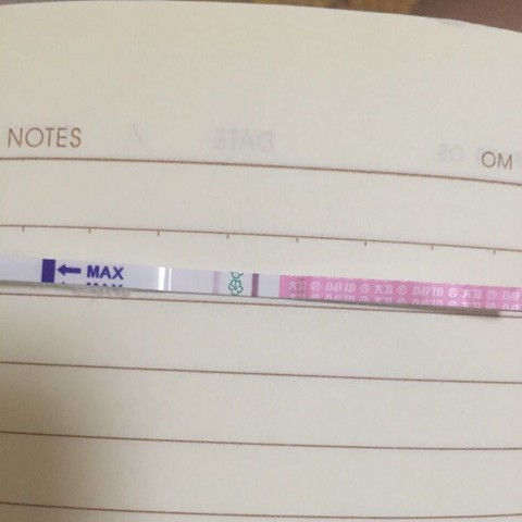 journal_insert_pic_317786801