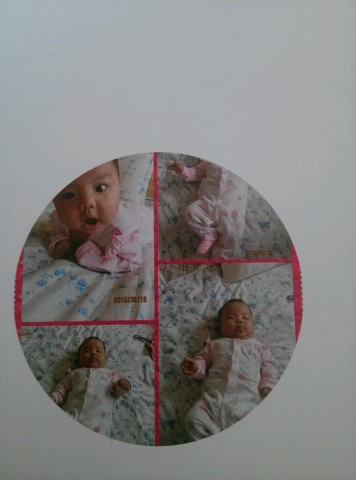 journal_insert_pic_317272852