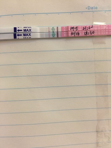 journal_insert_pic_318323637