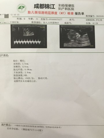 journal_insert_pic_317891427