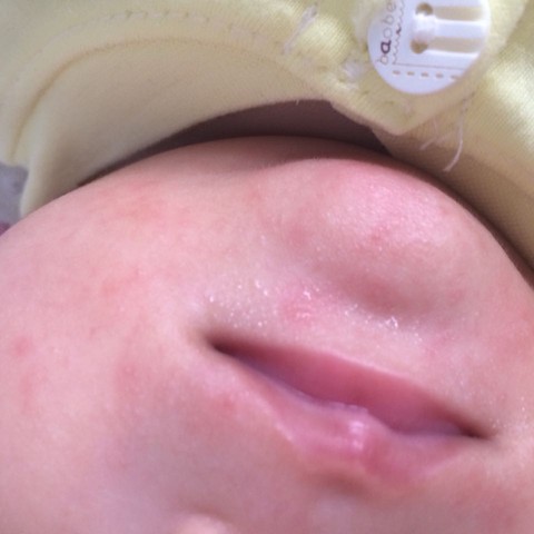 journal_insert_pic_318690357