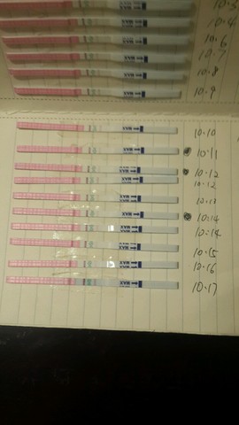 journal_insert_pic_318922821