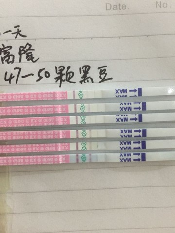 journal_insert_pic_319135077