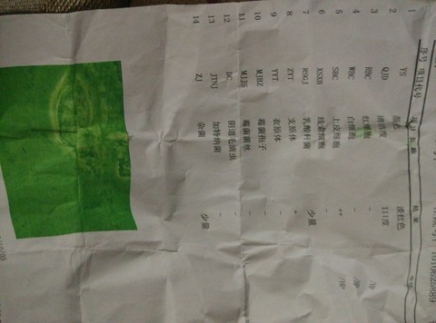 journal_insert_pic_321016512