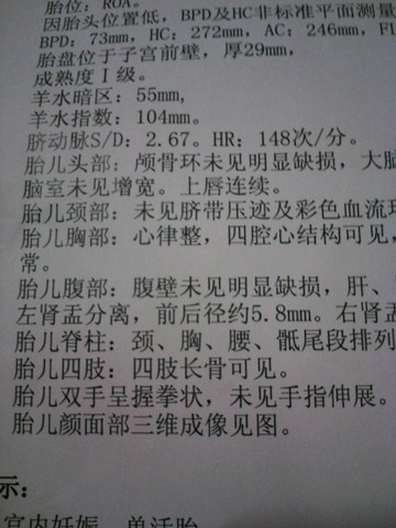 journal_insert_pic_320660407