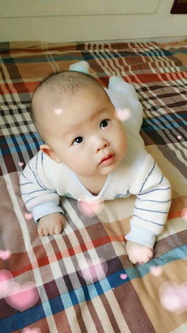 journal_insert_pic_322111262
